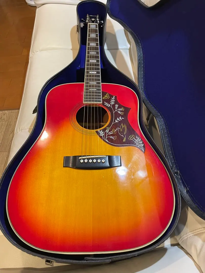 2026年最新】morris ハミングバードの人気アイテム - メルカリ