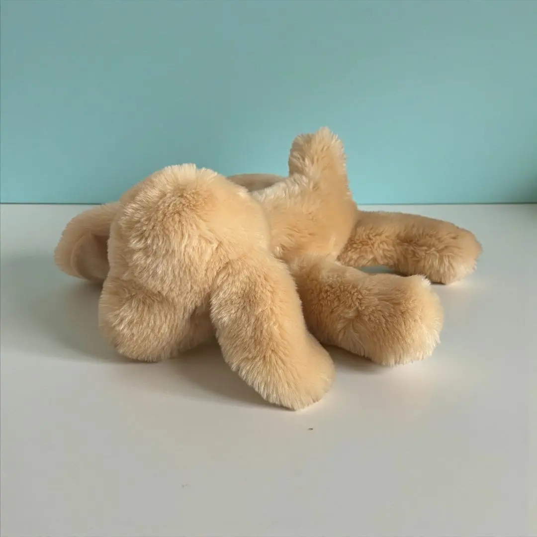 2026年最新】ケテクルーゼの人気アイテム - メルカリ