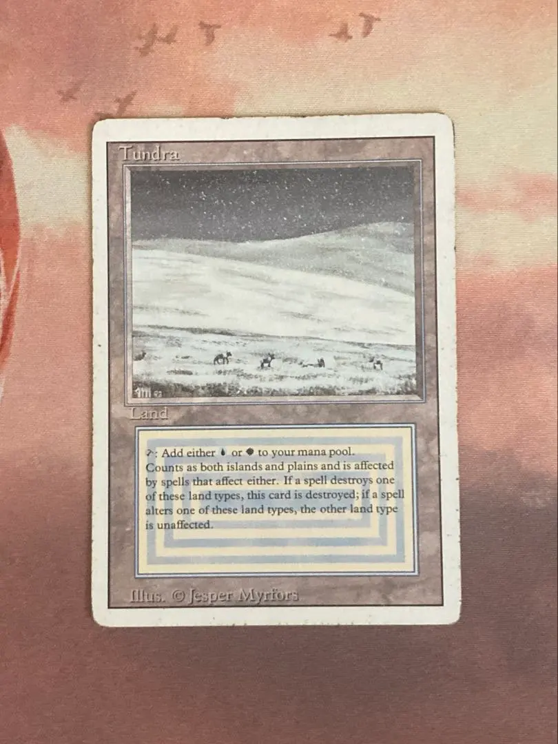 2026年最新】tundra mtgの人気アイテム - メルカリ