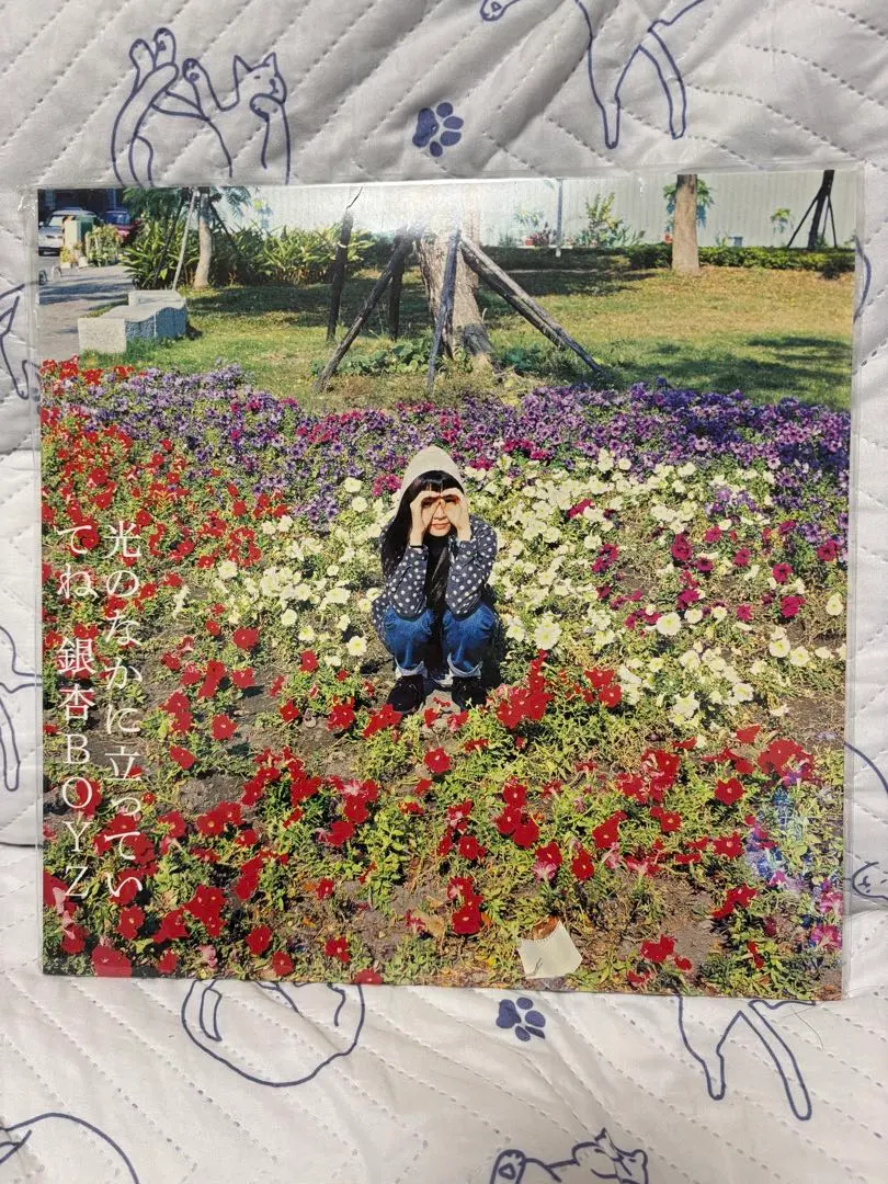 2026年最新】銀杏boyz レコード 光のの人気アイテム - メルカリ