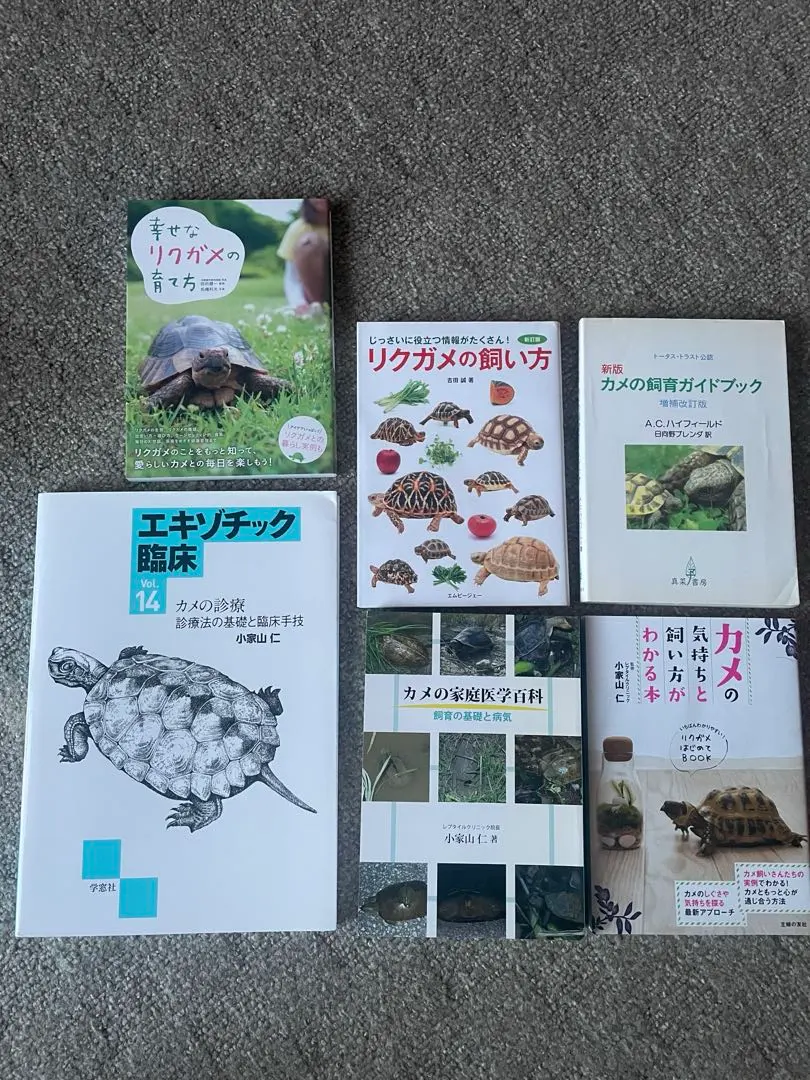 2026年最新】エキゾチック臨床の人気アイテム - メルカリ