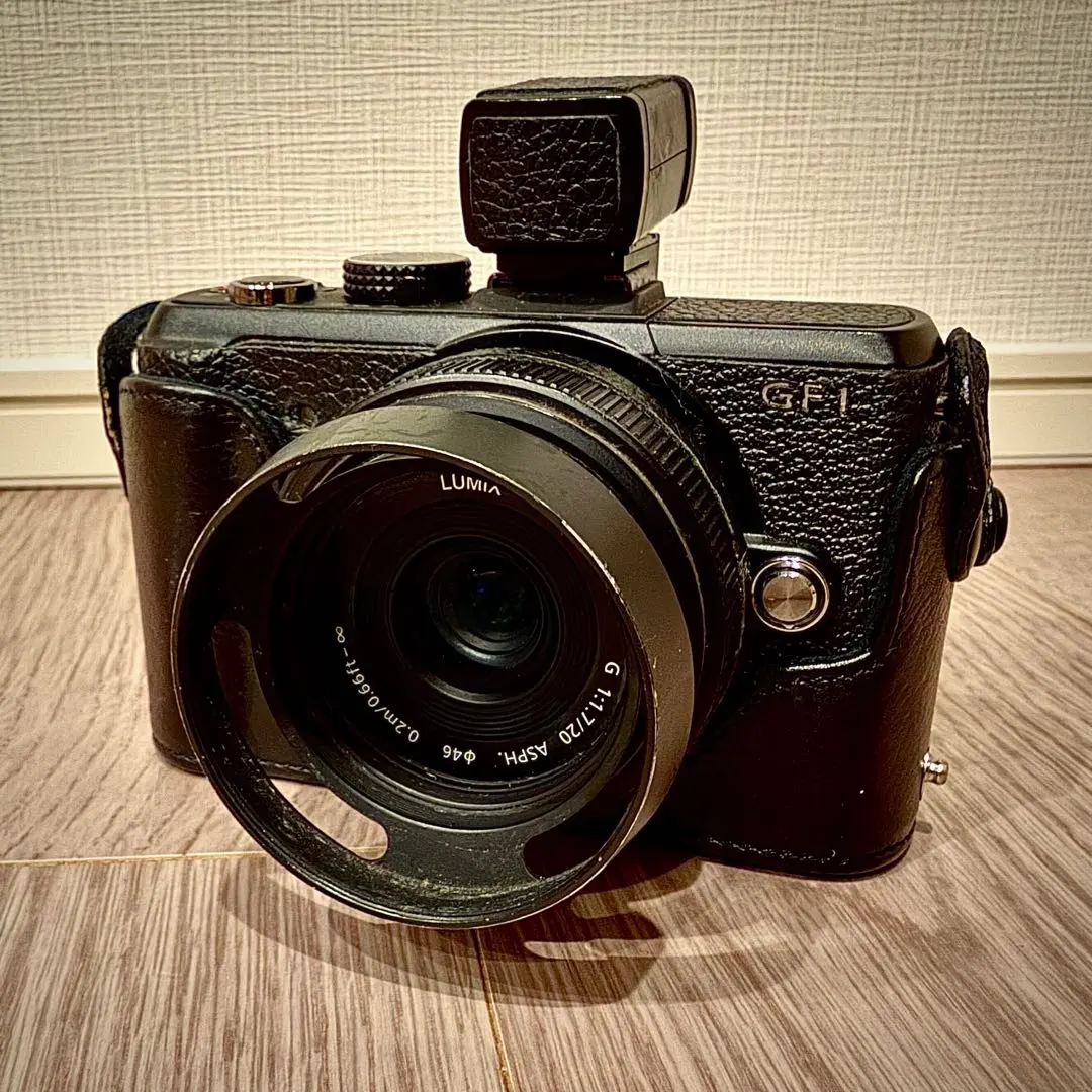 2026年最新】lumix gf1 ボディケースの人気アイテム - メルカリ