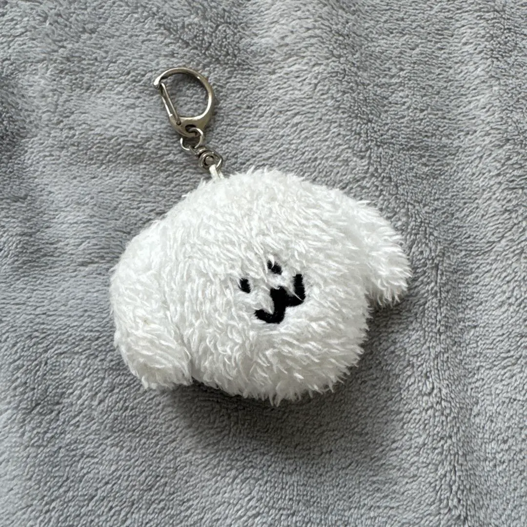 2026年最新】SAUCY dog わんこぬいの人気アイテム - メルカリ