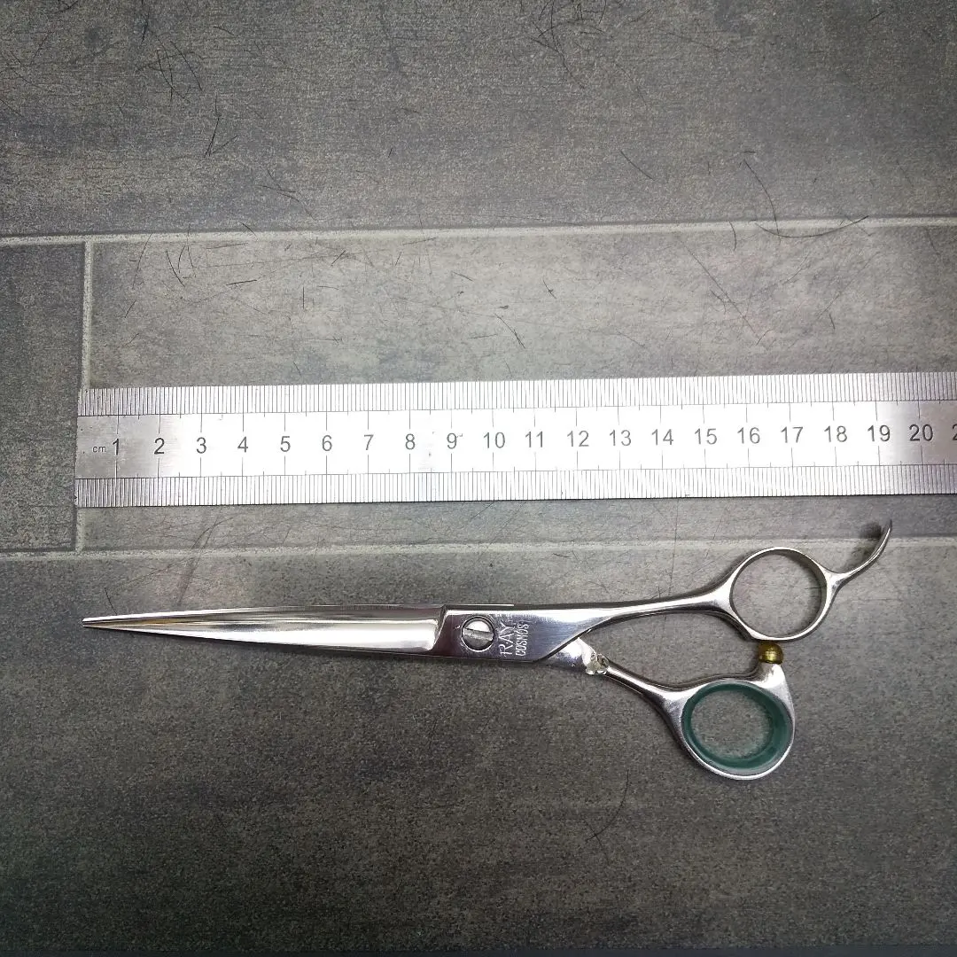 2026年最新】光シザー レイコスモスの人気アイテム - メルカリ