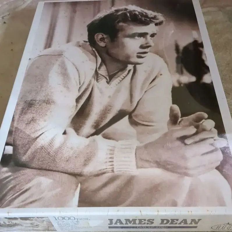 2026年最新】ジェームスディーン ジグソーパズルの人気アイテム - メルカリ