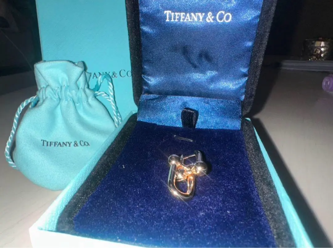 2026年最新】ティファニー ピアス ハードウェア 片耳の人気アイテム