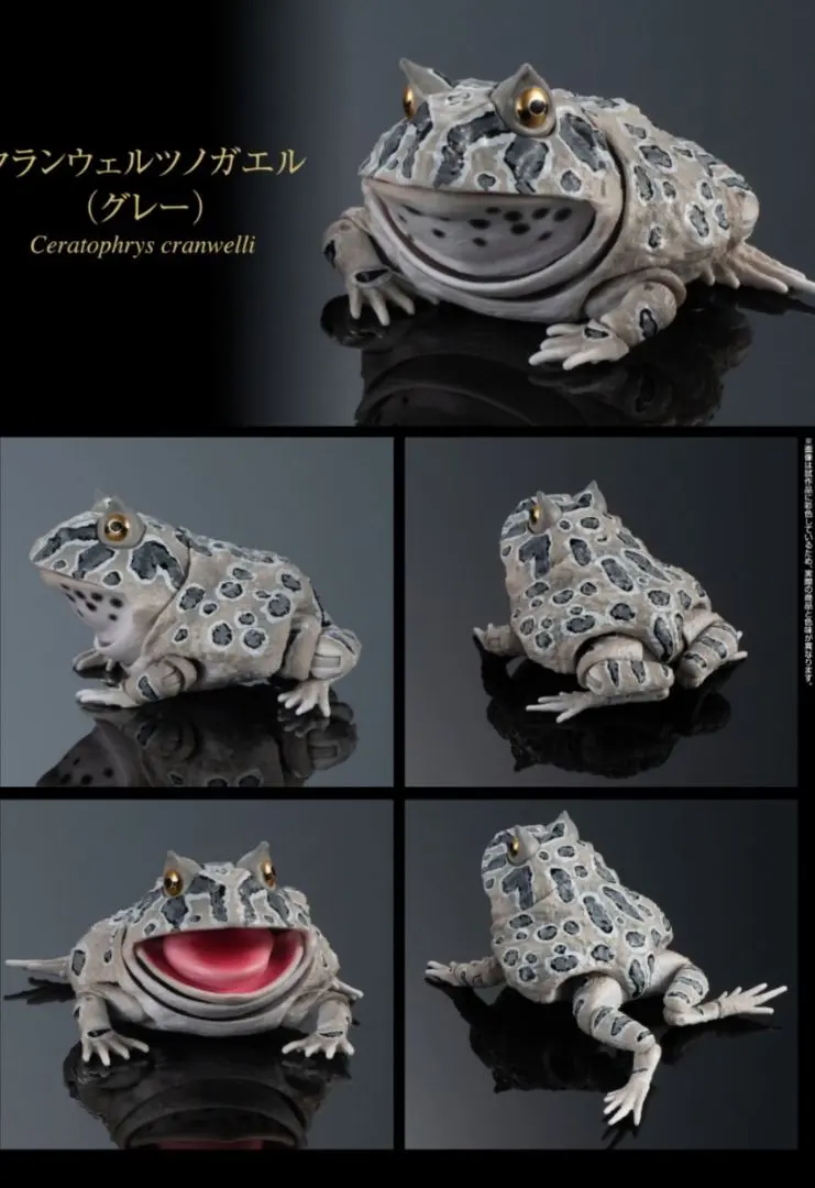 2026年最新】クランウェルツノガエルの人気アイテム - メルカリ