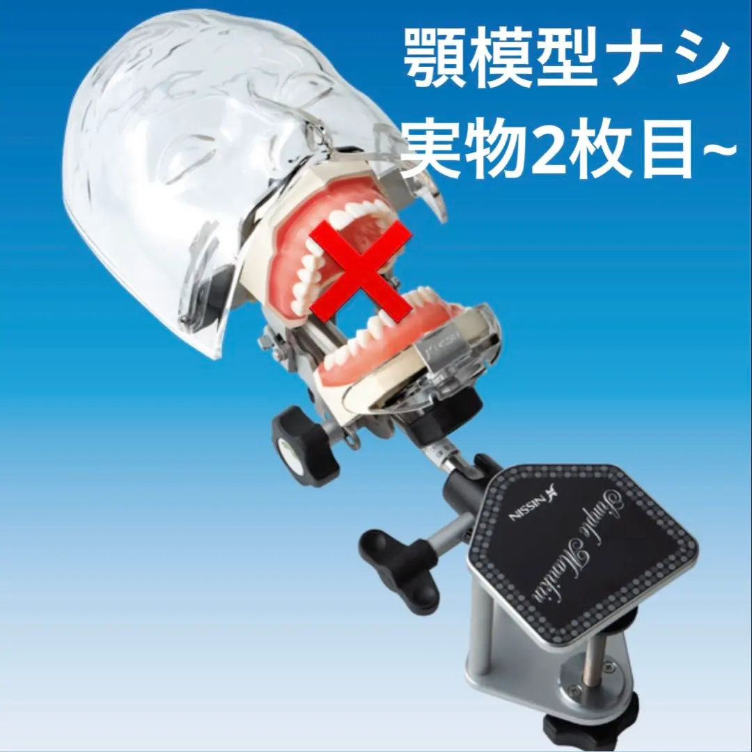 2026年最新】マネキン 歯科の人気アイテム - メルカリ