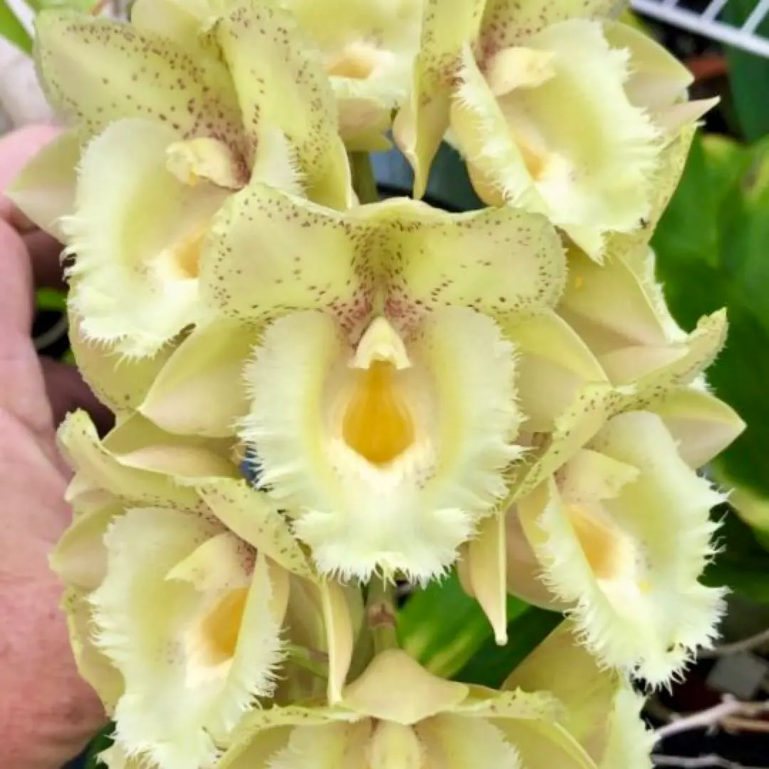 2026年最新】カタセタムの人気アイテム - メルカリ