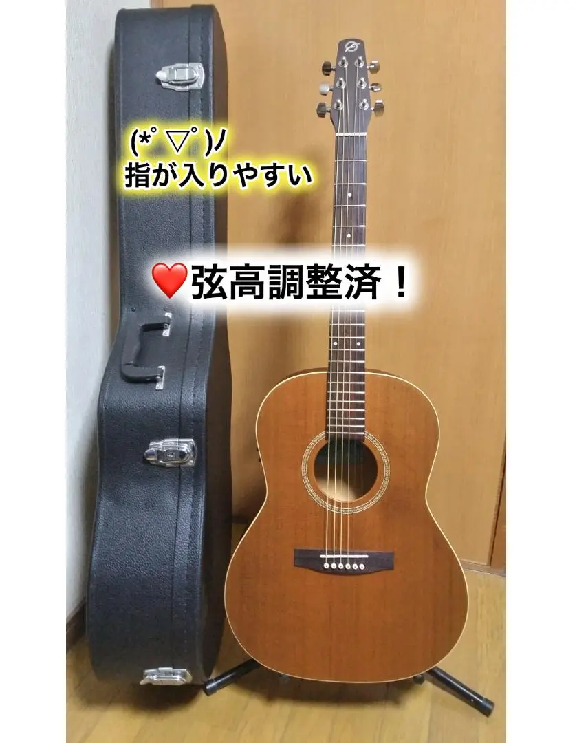 2026年最新】seagull folkの人気アイテム - メルカリ