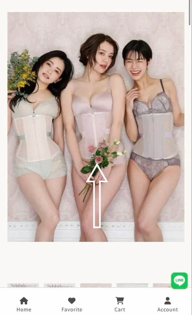 2026年最新】シルフィード コルセットの人気アイテム - メルカリ