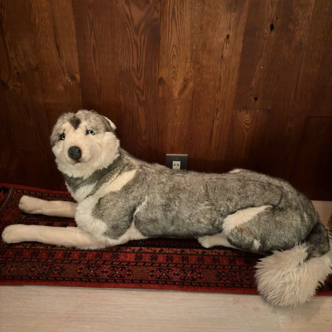 2026年最新】ジョックライン ぬいぐるみの人気アイテム - メルカリ