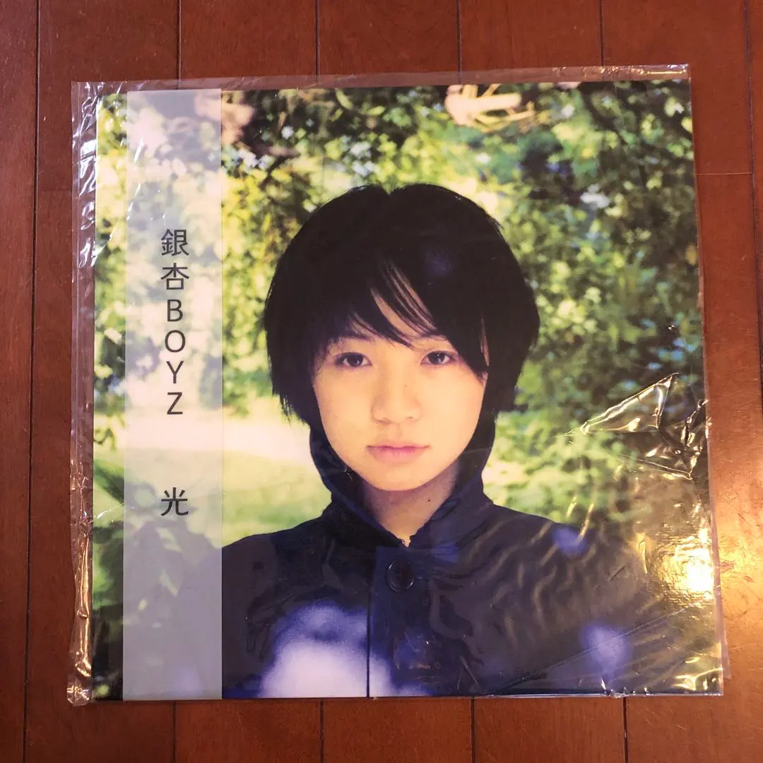 2026年最新】銀杏boyz レコード 光のの人気アイテム - メルカリ