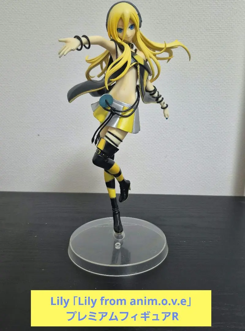 2026年最新】lily from anim.o.v.eの人気アイテム - メルカリ