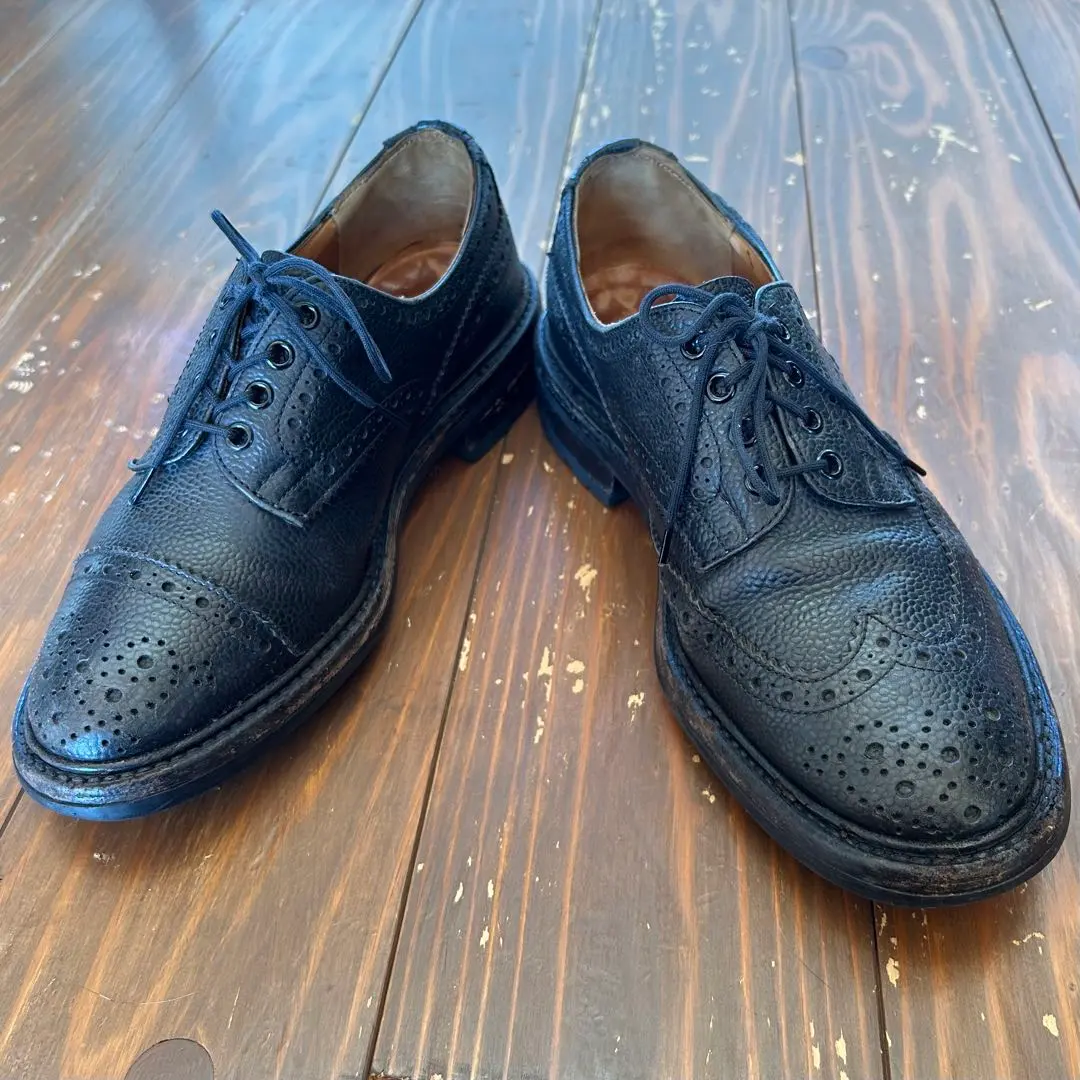 2026年最新】ネペンテス トリッカーズの人気アイテム - メルカリ