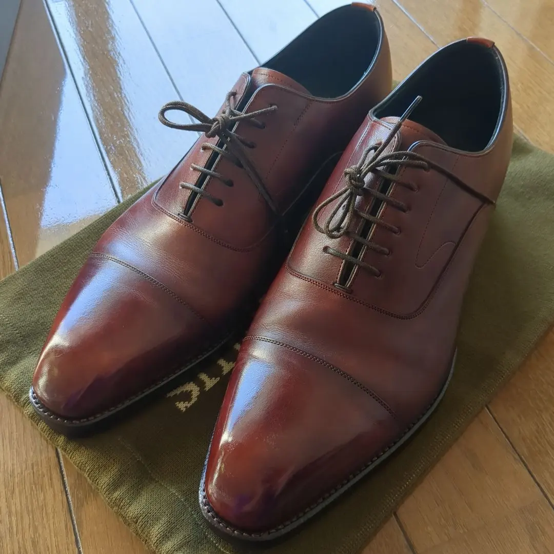 2026年最新】シェットランドフォックス ブライトンの人気アイテム