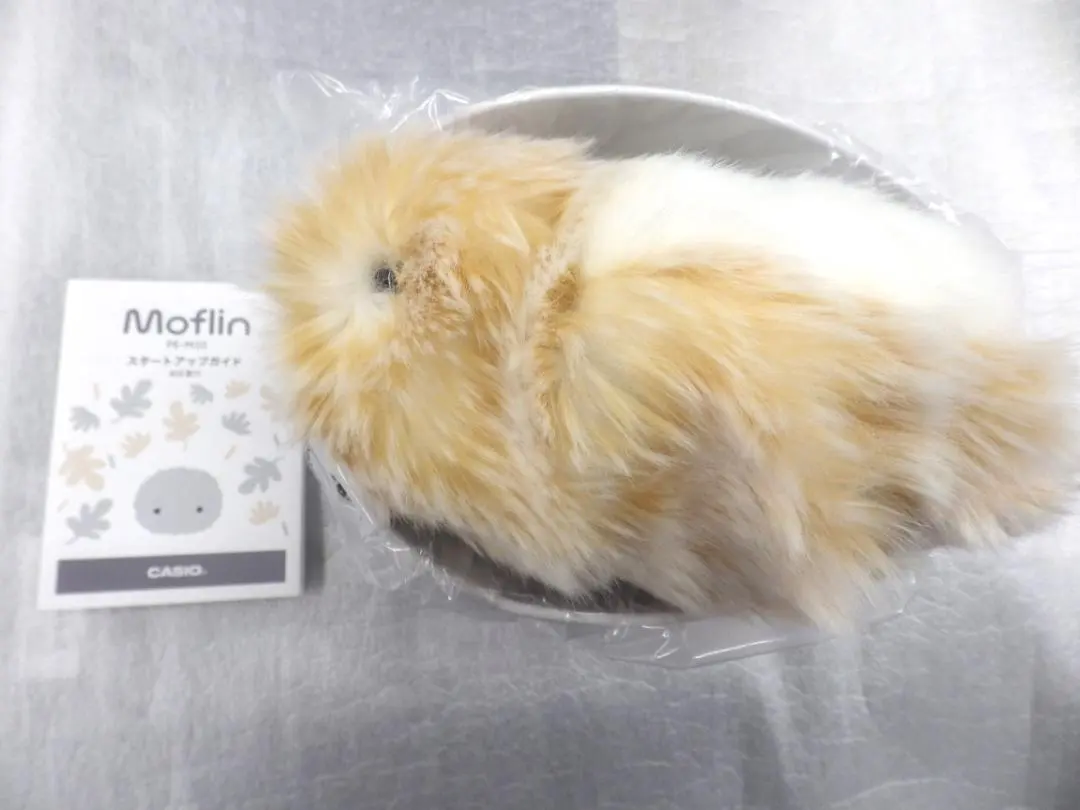 2026年最新】CASIO ぬいぐるみ本体の人気アイテム - メルカリ