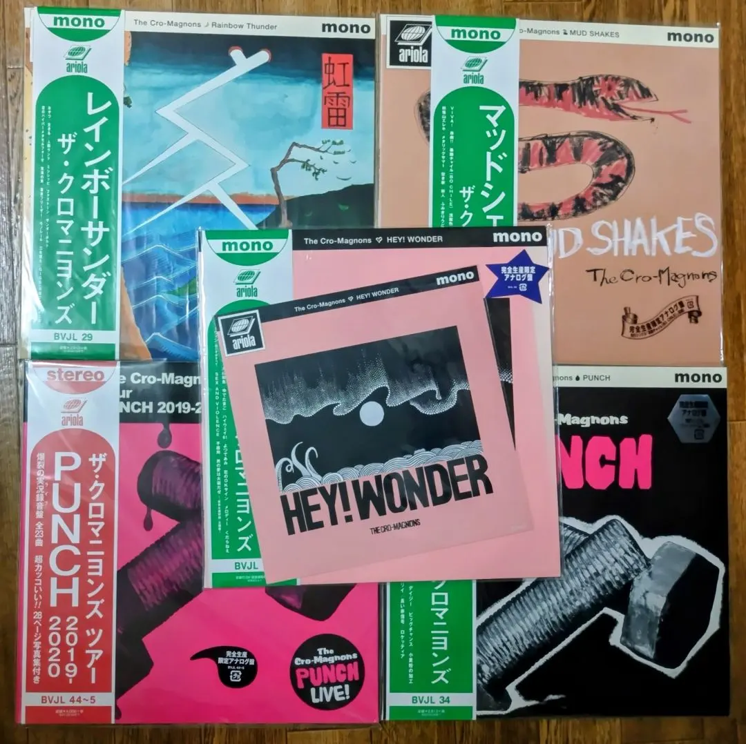 2026年最新】クロマニヨンズ アナログ盤の人気アイテム - メルカリ