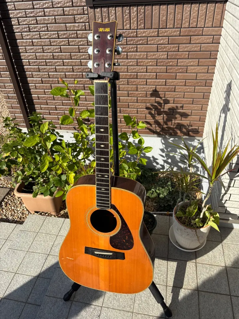 2026年最新】yamaha fg-351の人気アイテム - メルカリ