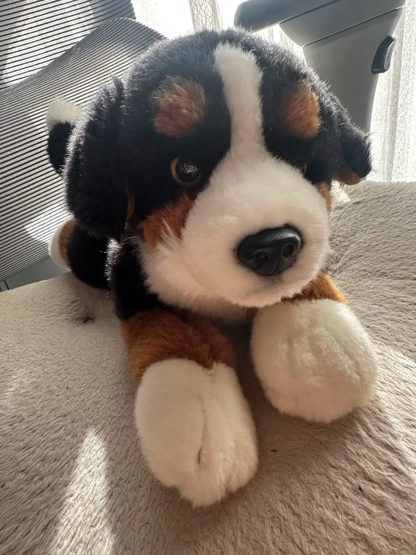 2026年最新】ぬいぐるみ 犬 バーニーズの人気アイテム - メルカリ