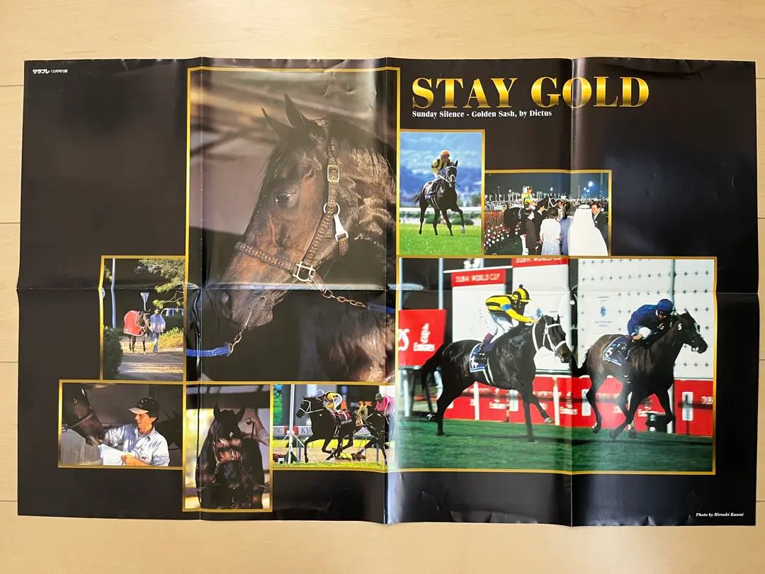 2026年最新】ステイゴールド ポスターの人気アイテム - メルカリ