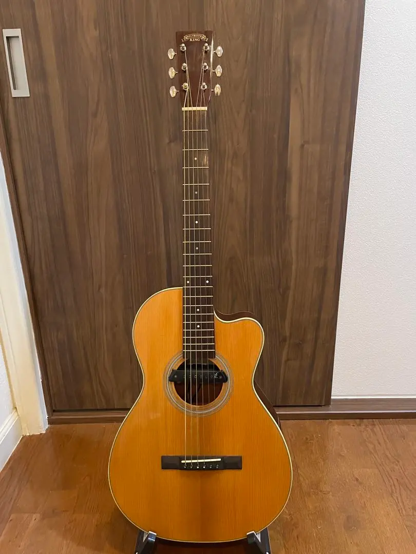 初期型RECORDING KING RO-126-FE オール単板 000タイプ