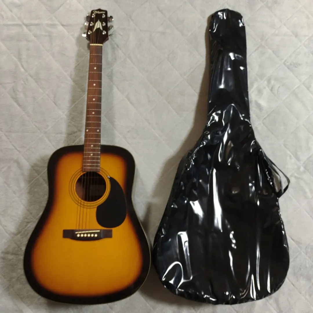 2026年最新】ギター タカミネ tの人気アイテム - メルカリ