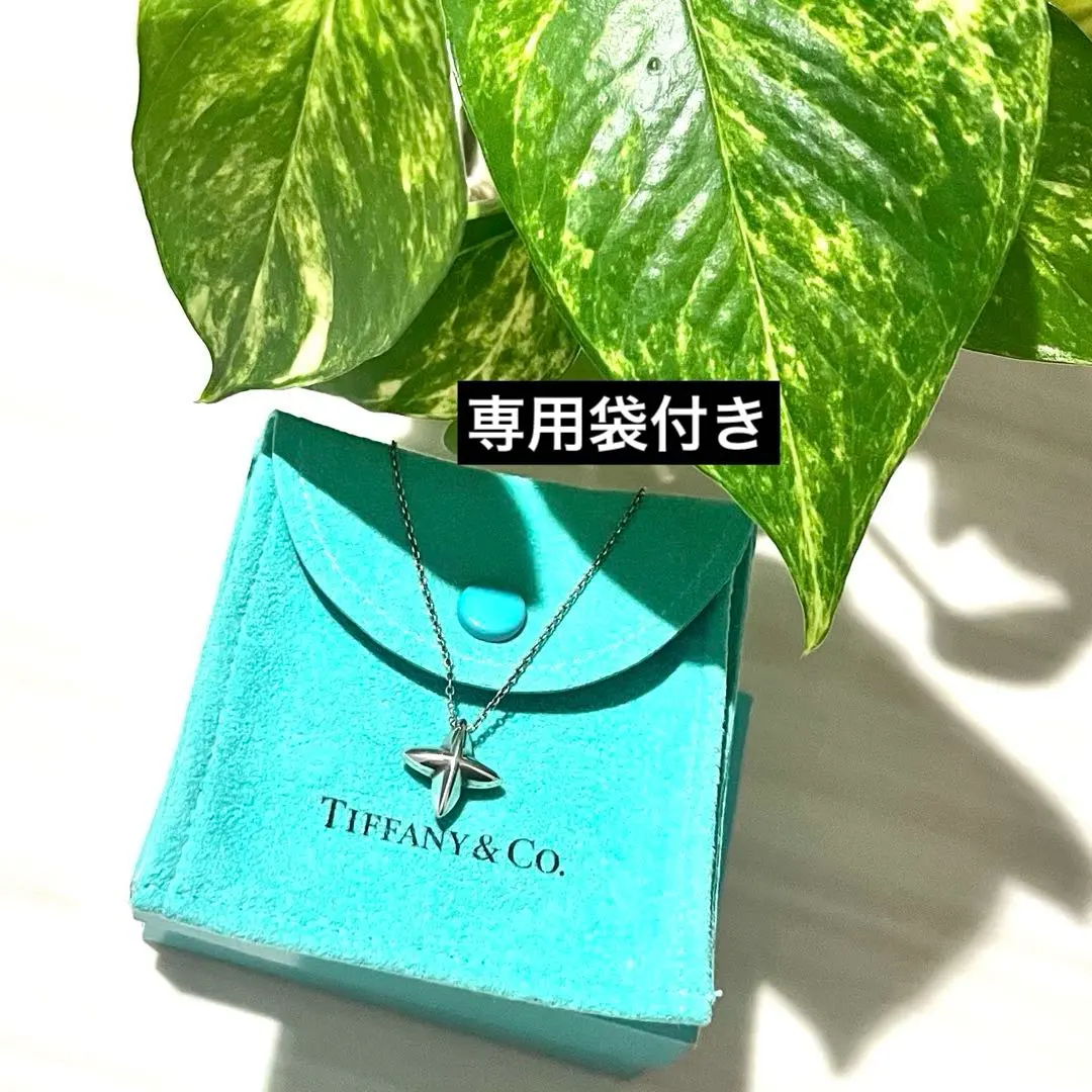 2026年最新】ティファニー シリウススター ピアスの人気アイテム