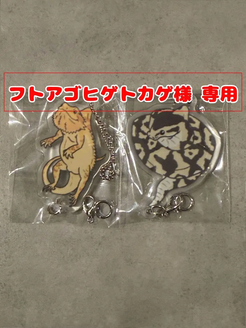 2026年最新】フトアゴヒゲトカゲ飼育セットの人気アイテム - メルカリ