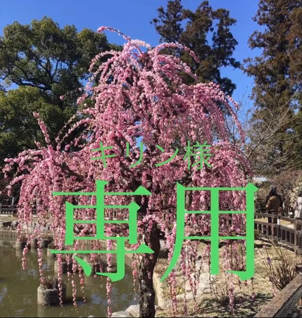 2026年最新】インヴェル リチャージの人気アイテム - メルカリ