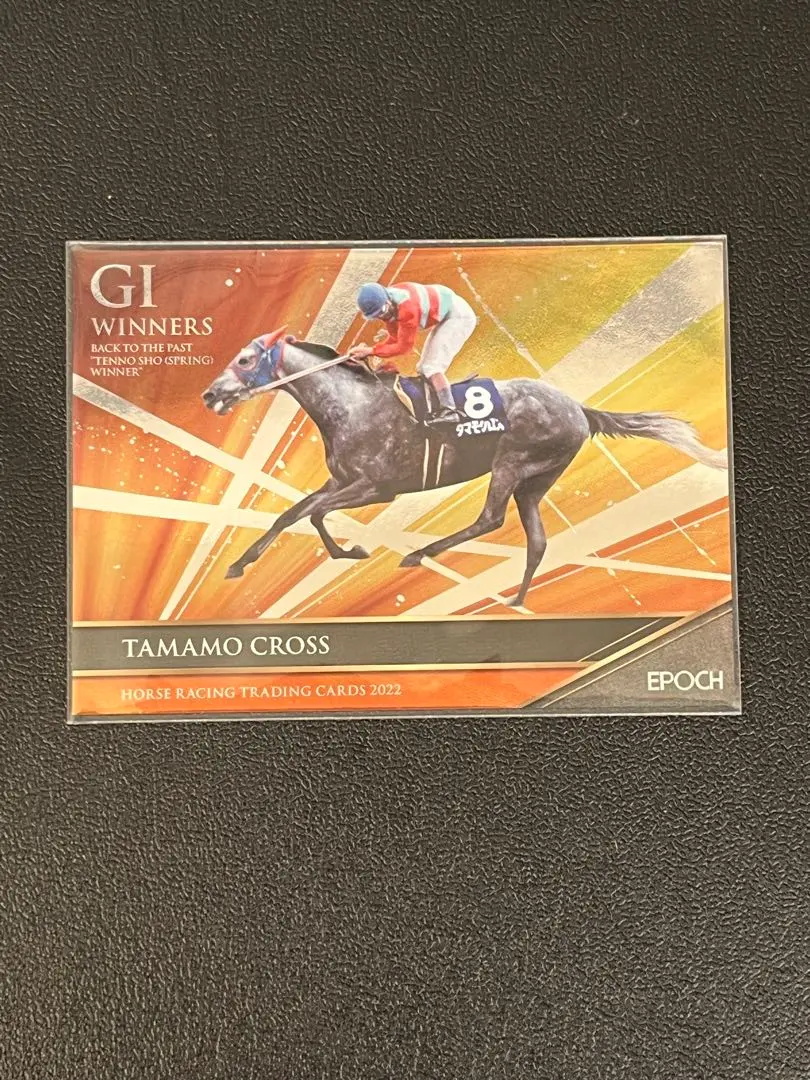 2026年最新】ホースレーシング インサートの人気アイテム - メルカリ