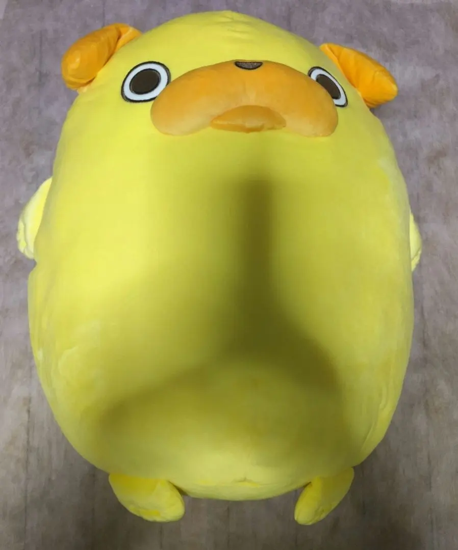 2026年最新】パグ太郎 ぬいぐるみの人気アイテム - メルカリ