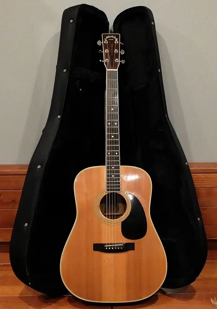 2026年最新】morales lyre birdの人気アイテム - メルカリ