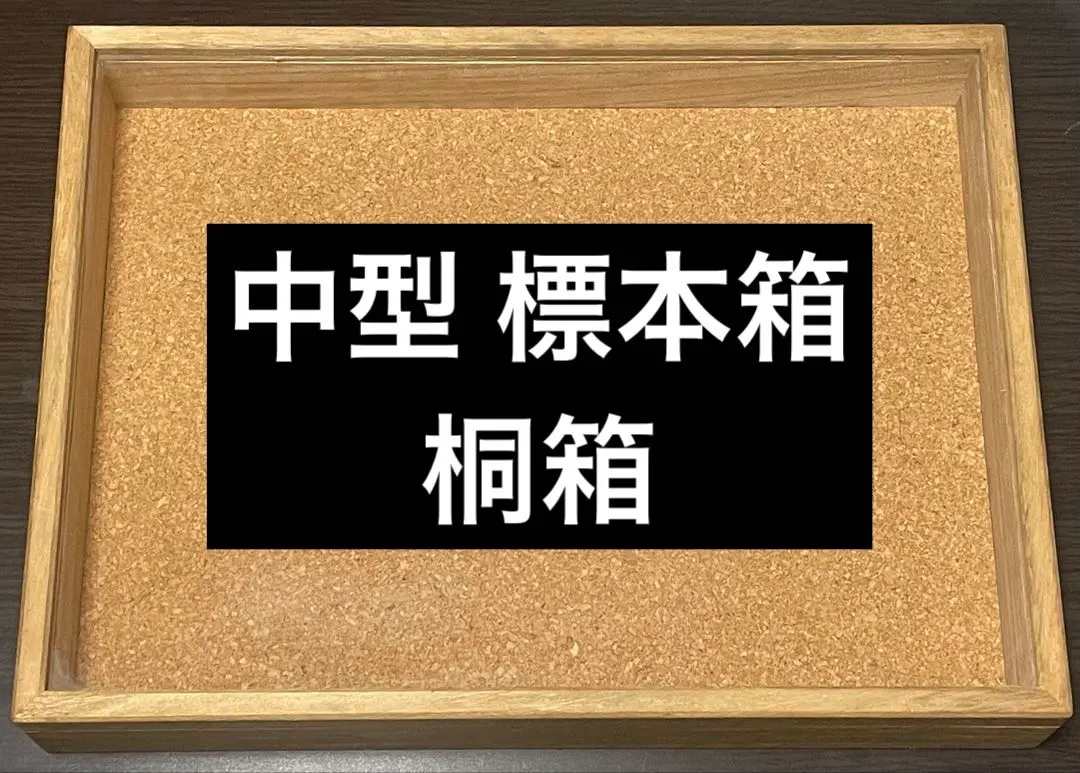 2026年最新】蝶標本 ドイツ箱の人気アイテム - メルカリ