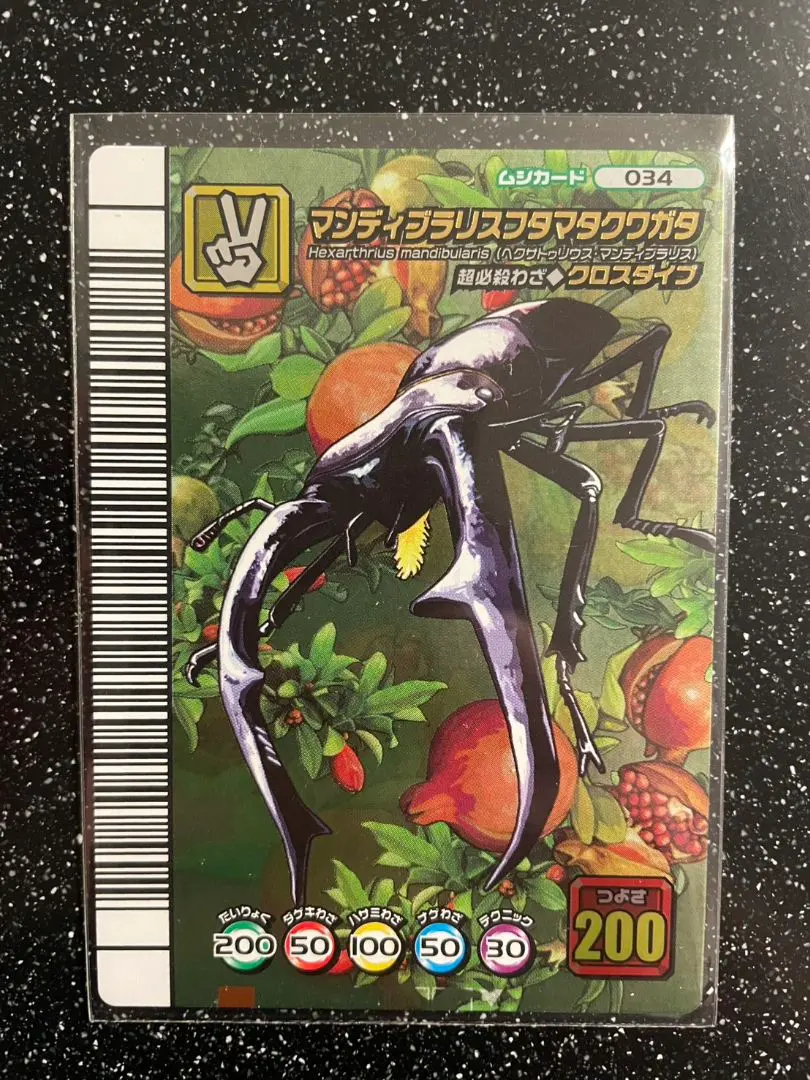 2026年最新】マンディブラリスフタマタクワガタ5周年の人気アイテム