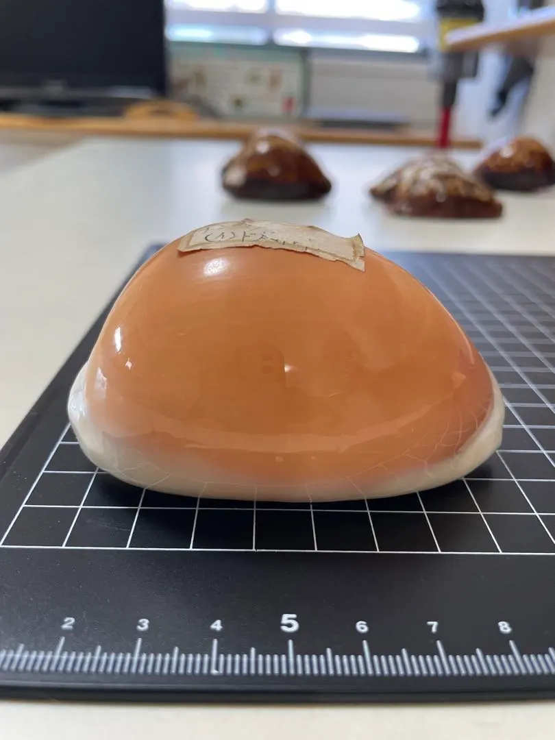 2026年最新】ナンヨウダカラの人気アイテム - メルカリ