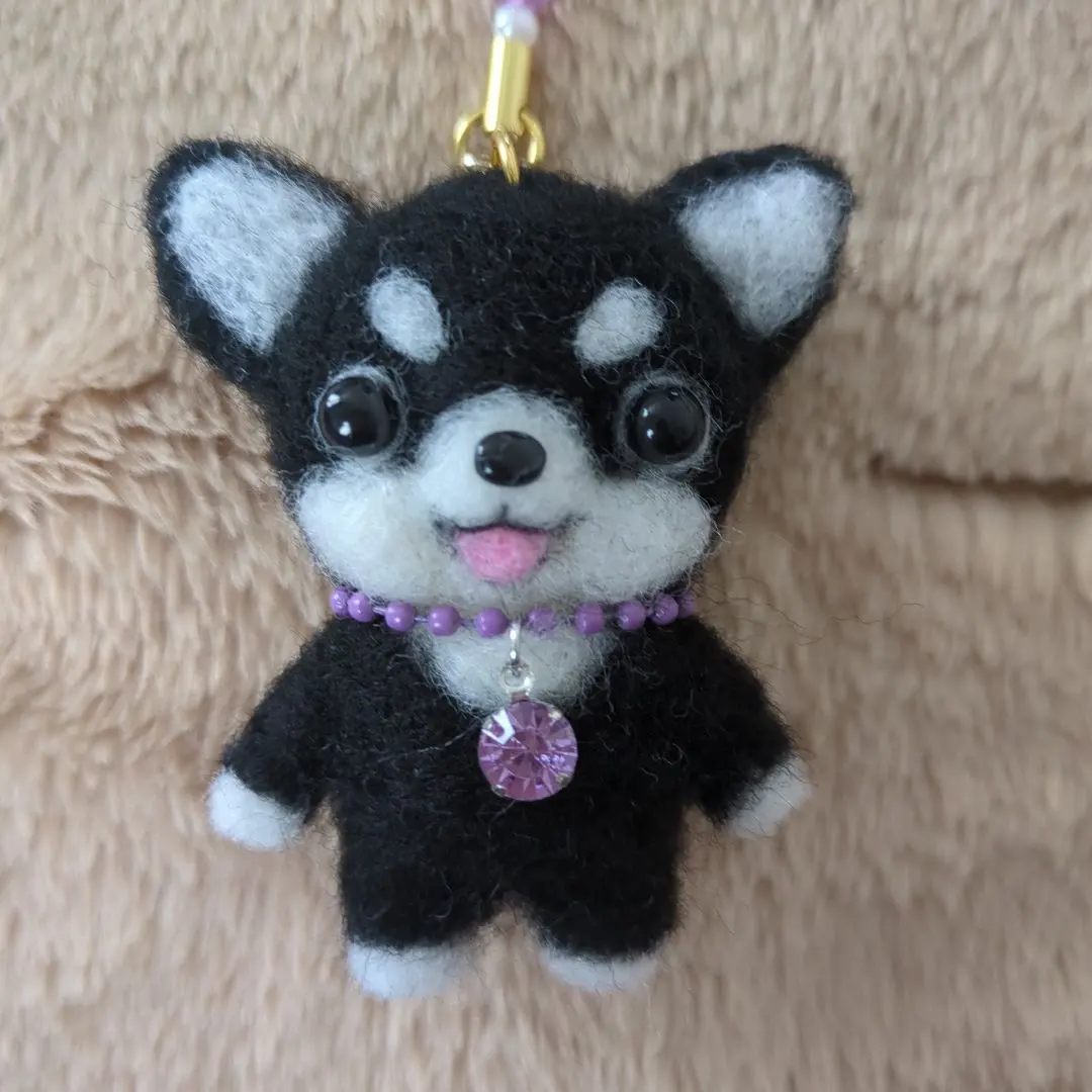 2026年最新】ブラックタンチワワの人気アイテム - メルカリ