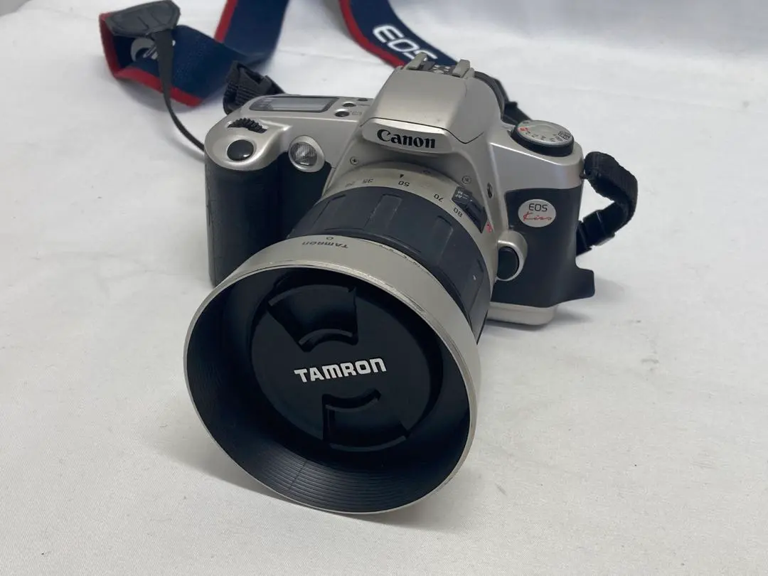 m92433552318_1.jpg?1741484158