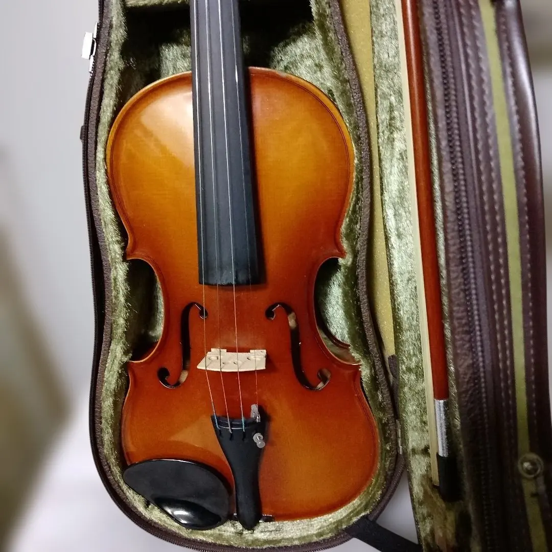 2026年最新】木曽鈴木バイオリンの人気アイテム - メルカリ