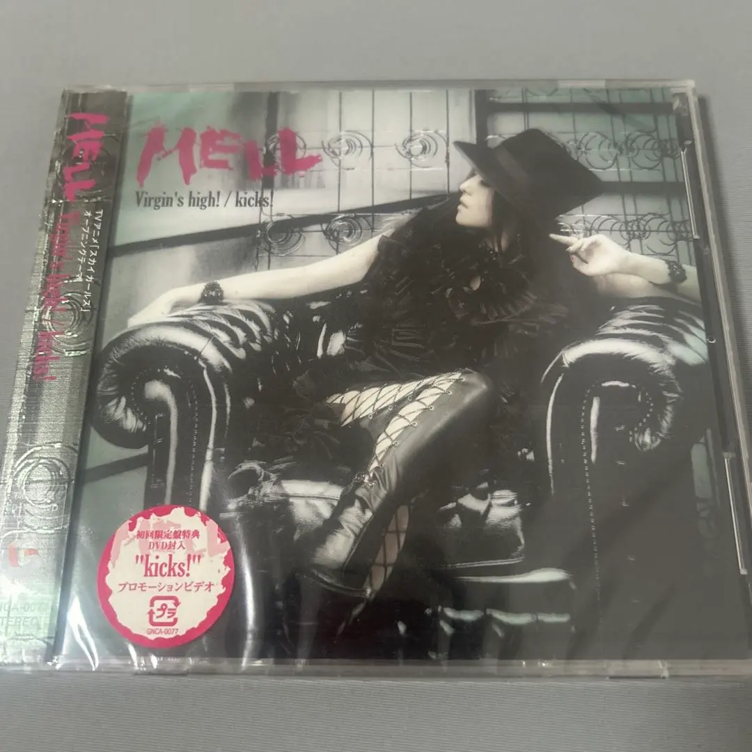 2026年最新】スカイガールズ dvdの人気アイテム - メルカリ