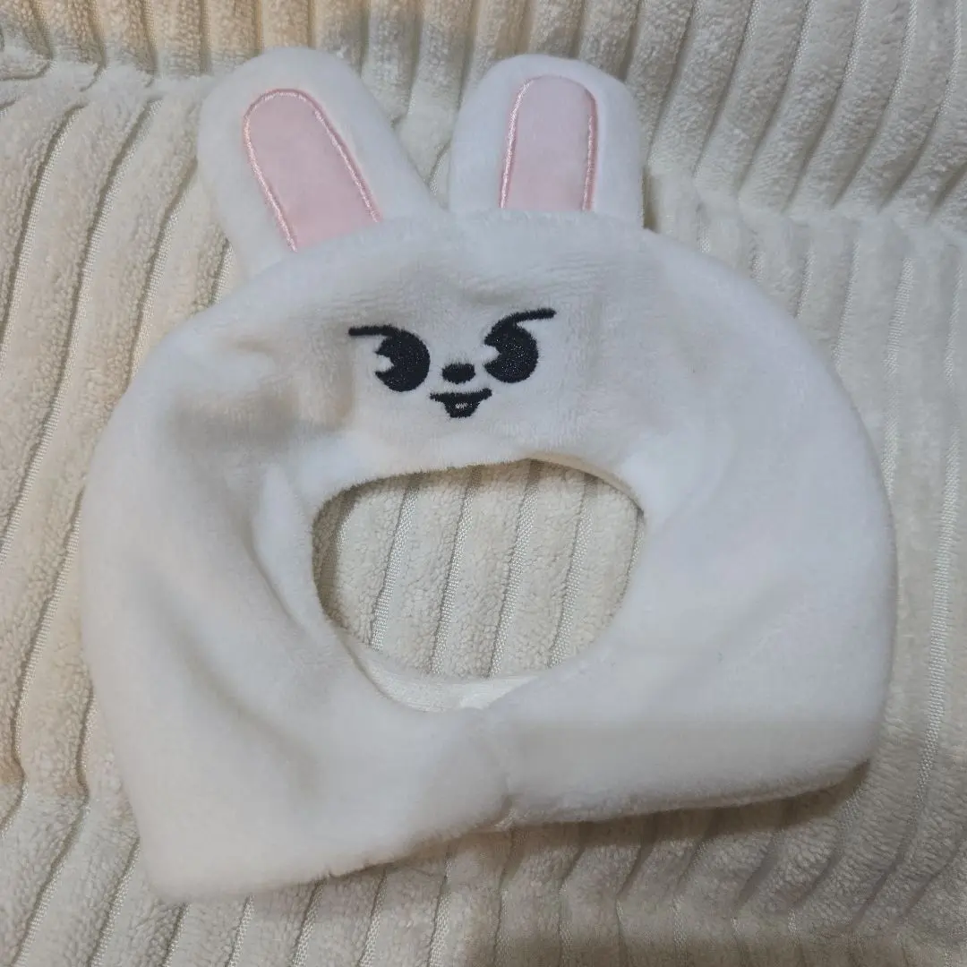 2026年最新】skzoo ペンライトカバー バンチャンの人気アイテム - メルカリ