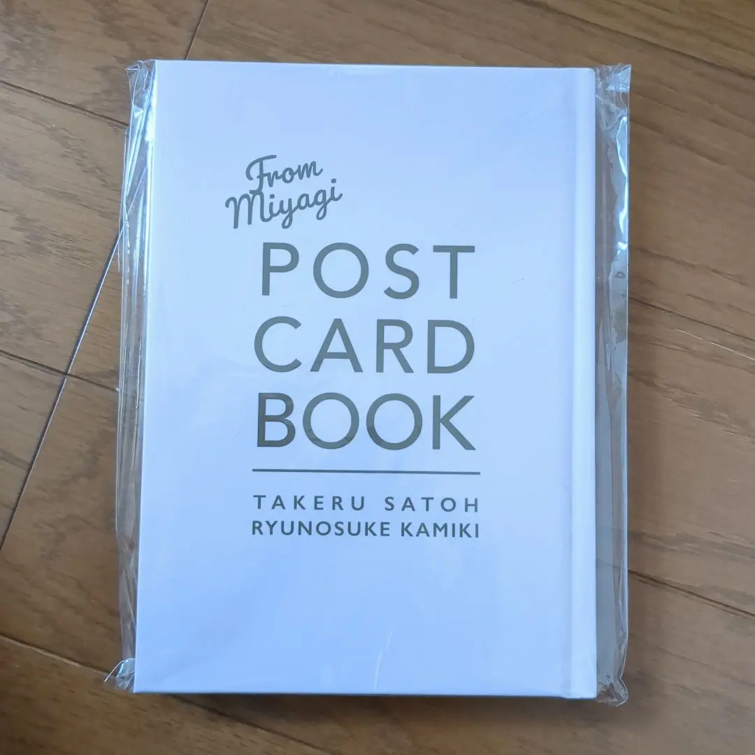 2026年最新】神木隆之介 佐藤健 ポストカードブックの人気アイテム