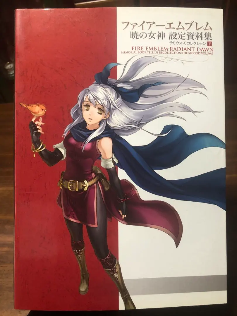 2026年最新】ファイアーエムブレム 蒼炎の軌跡 設定資料集の人気