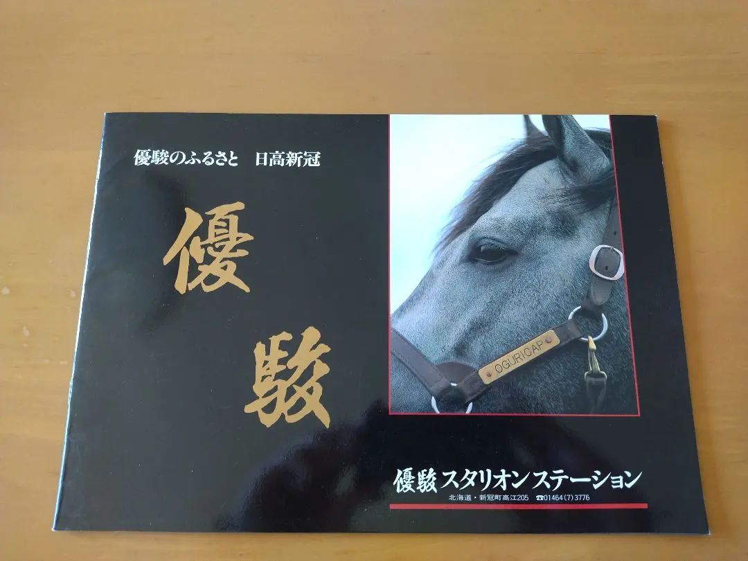 2026年最新】優駿スタリオンの人気アイテム - メルカリ
