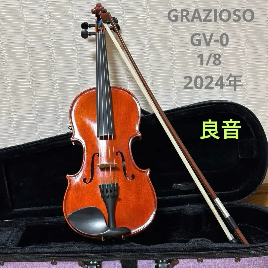 2026年最新】grazio バイオリンの人気アイテム - メルカリ