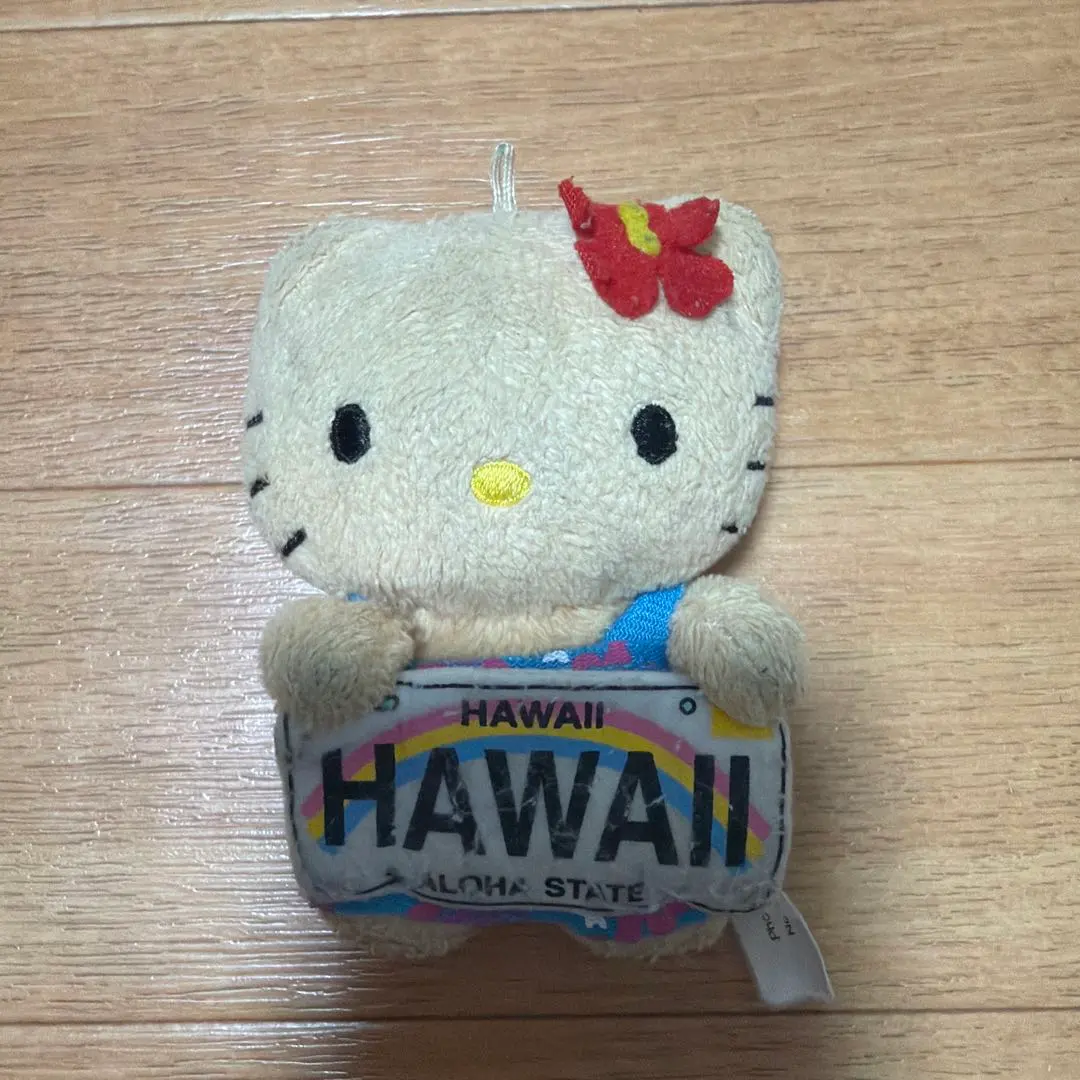 2026年最新】ガングロキティ ハワイの人気アイテム - メルカリ