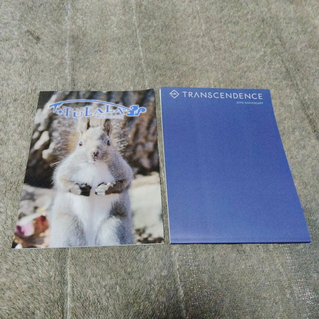 2026年最新】transcend トランスセンデンスの人気アイテム - メルカリ