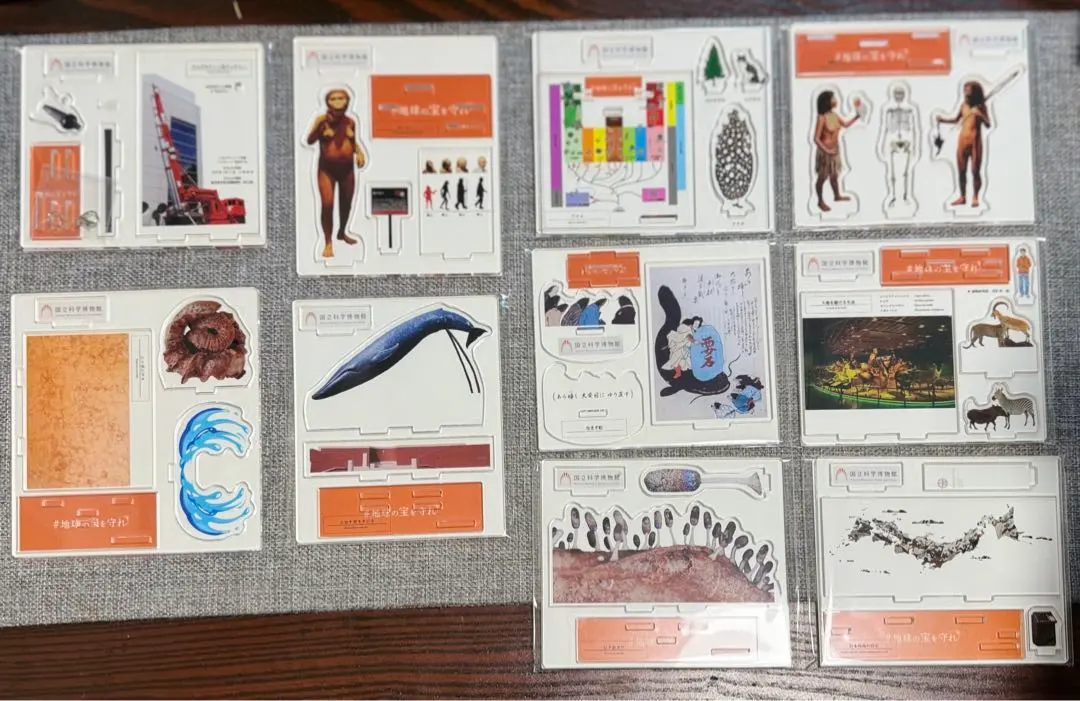 2026年最新】国立科学博物館 クラウドファンディングの人気アイテム