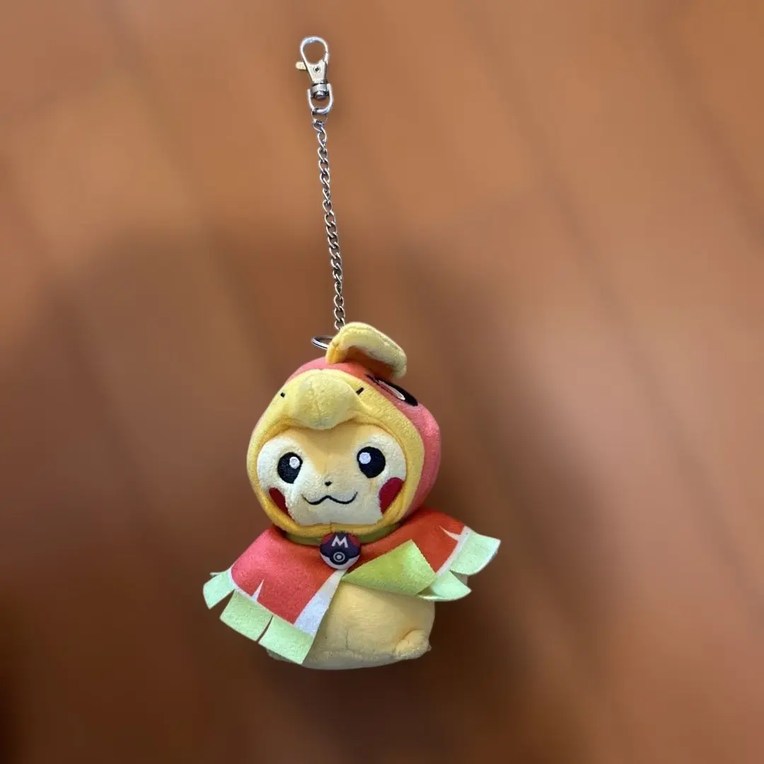 2026年最新】ホウオウポンチョ ピカチュウの人気アイテム - メルカリ
