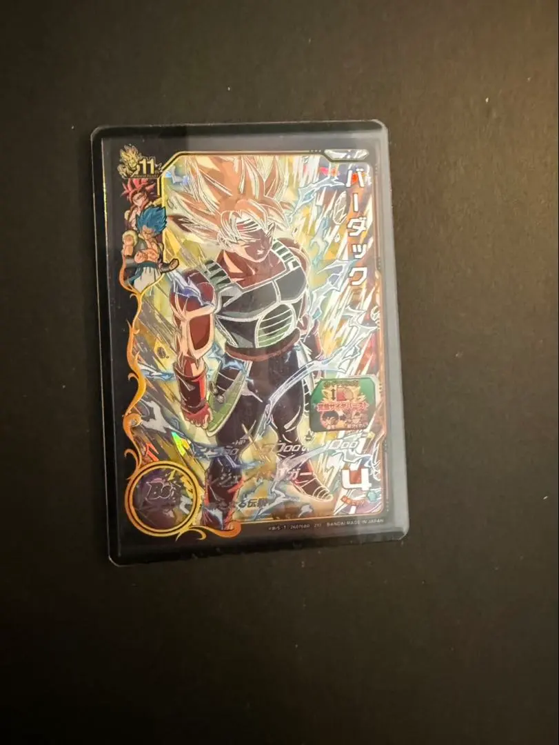 m99962682631_1.jpg?1771302614